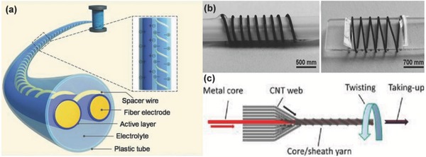 Figure 24