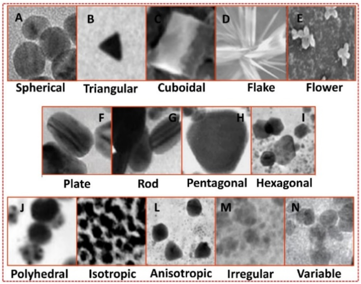 Fig. 21