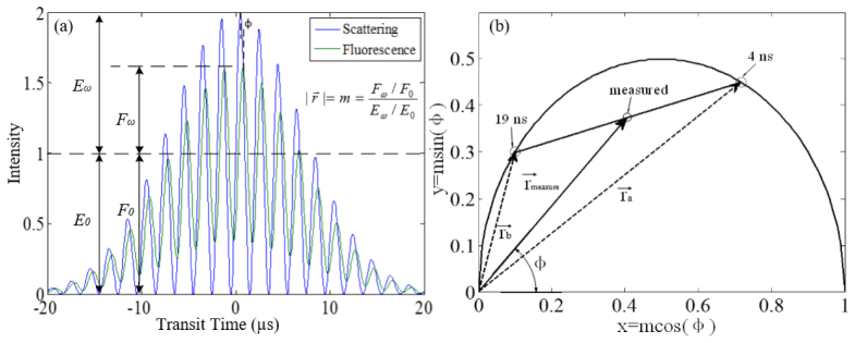 Fig. 3