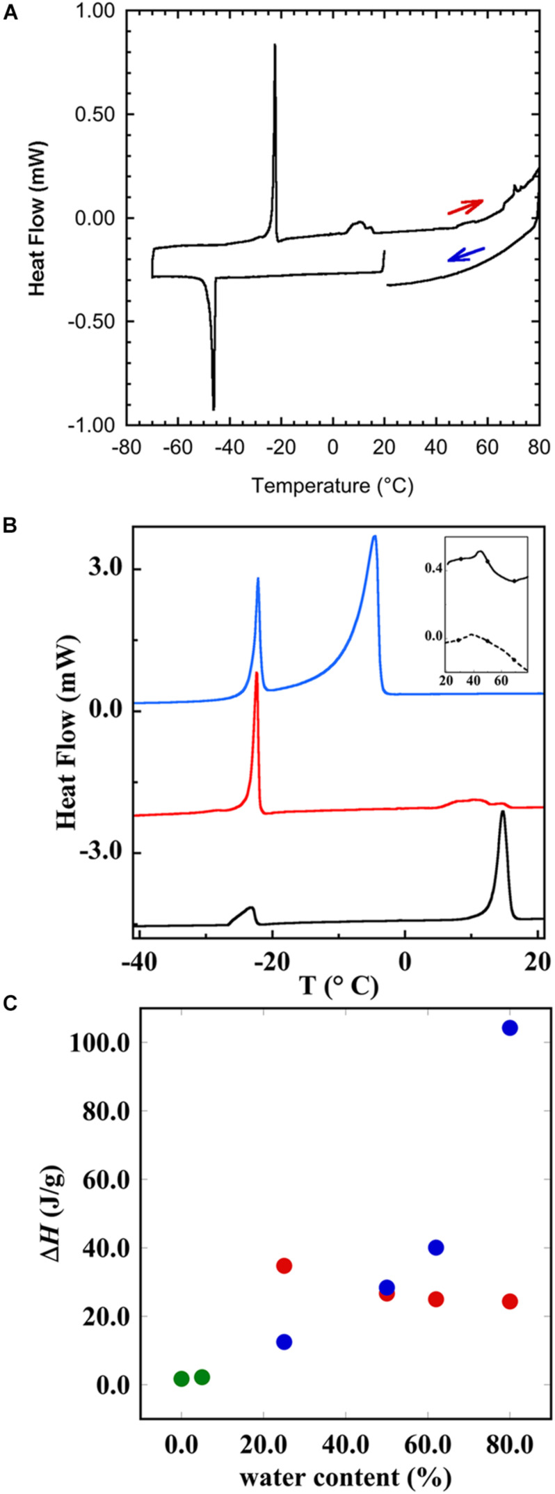 FIGURE 9