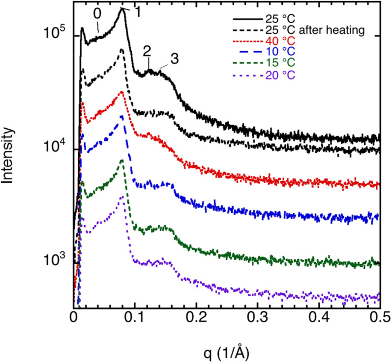 FIGURE 10