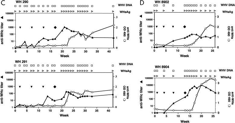 FIG. 7