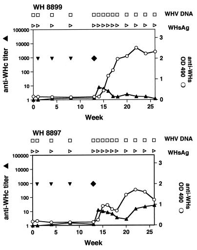 FIG. 8