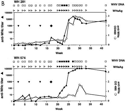 FIG. 7