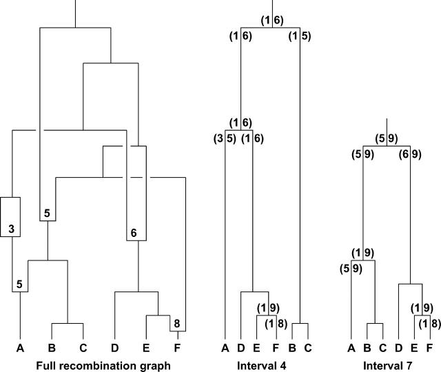 Figure 3.—