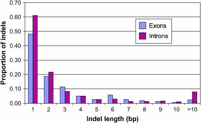 Figure 1.—