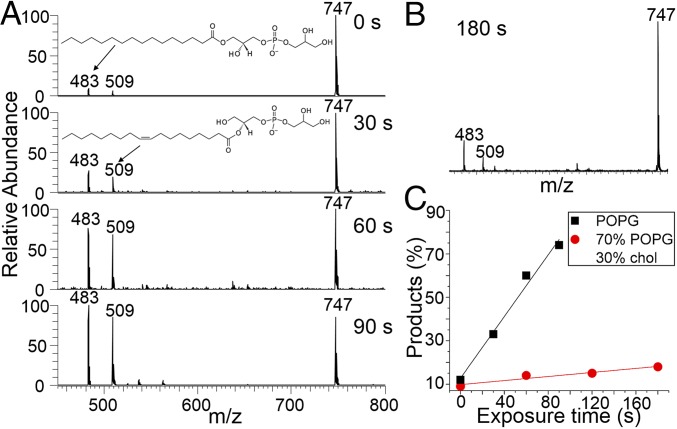 Fig. 6.