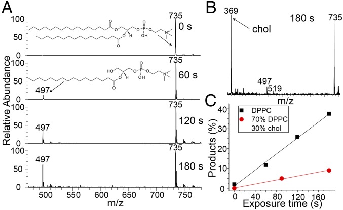 Fig. 5.