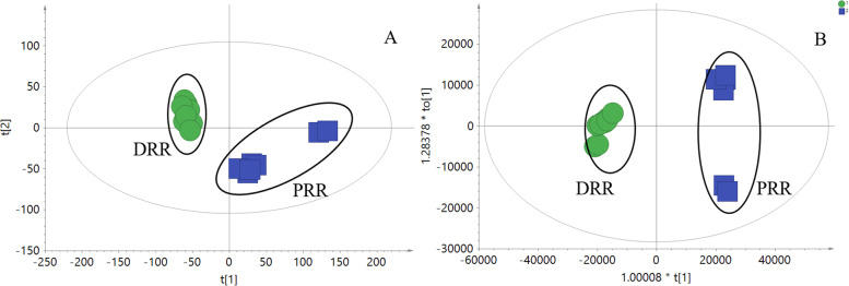 Fig. 11