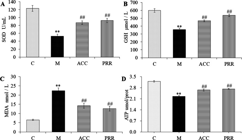 Fig. 9