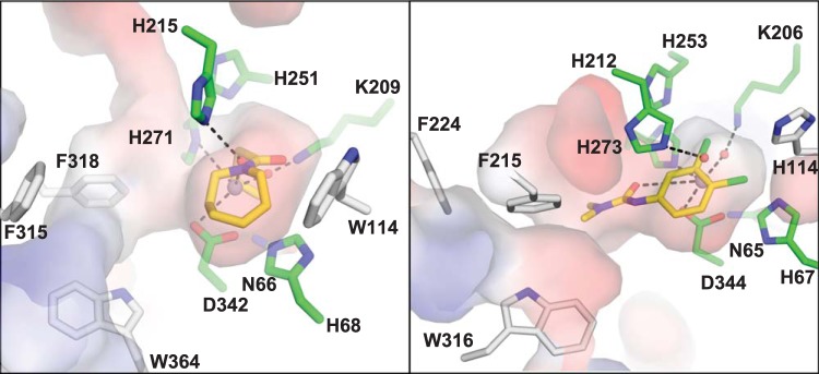 FIG 6