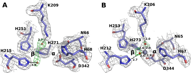 FIG 4