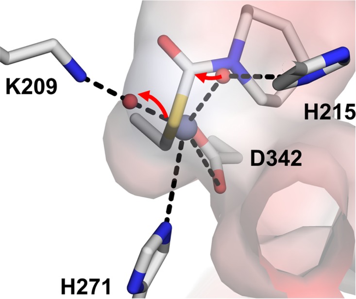 FIG 9