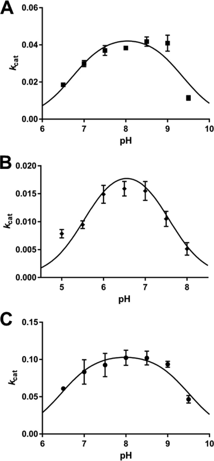 FIG 5