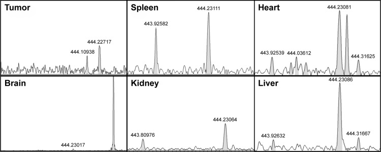 Figure 21