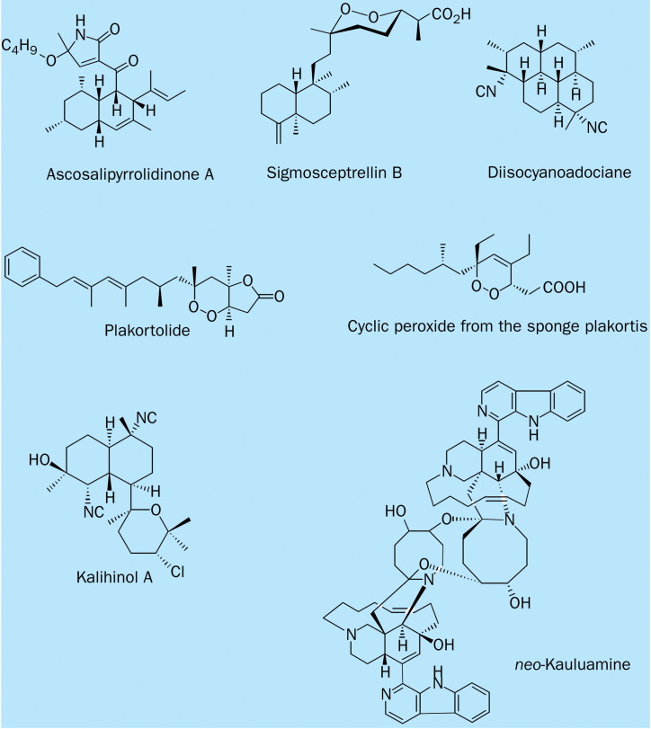 Figure 5