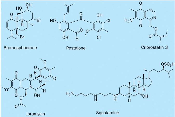 Figure 6