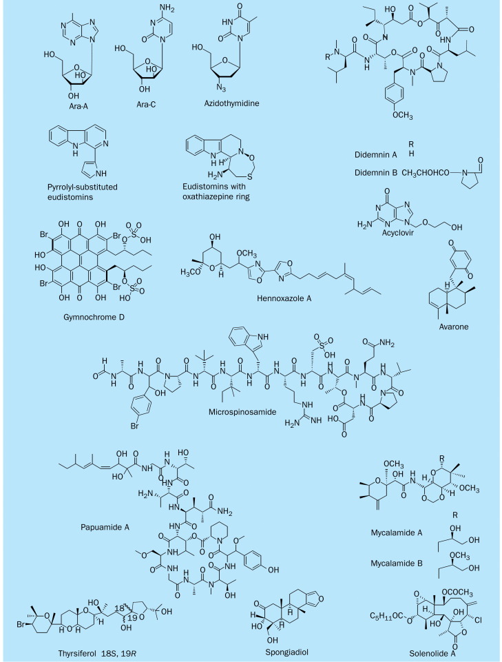 Figure 7