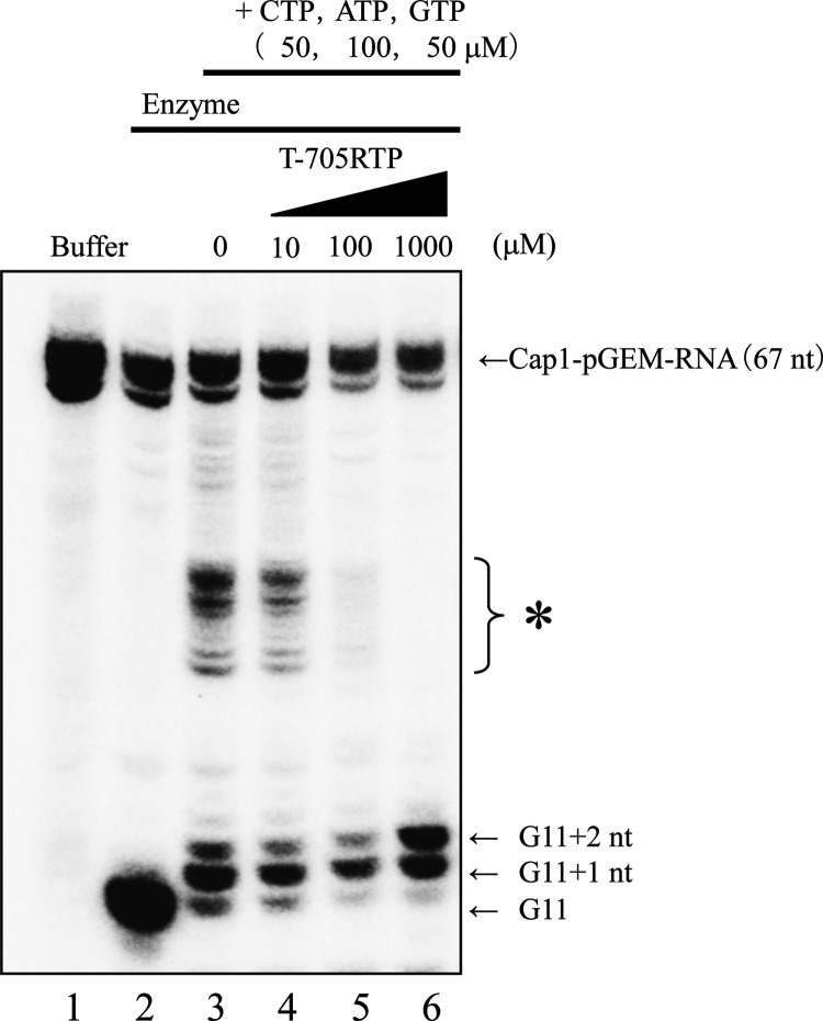 Fig 5