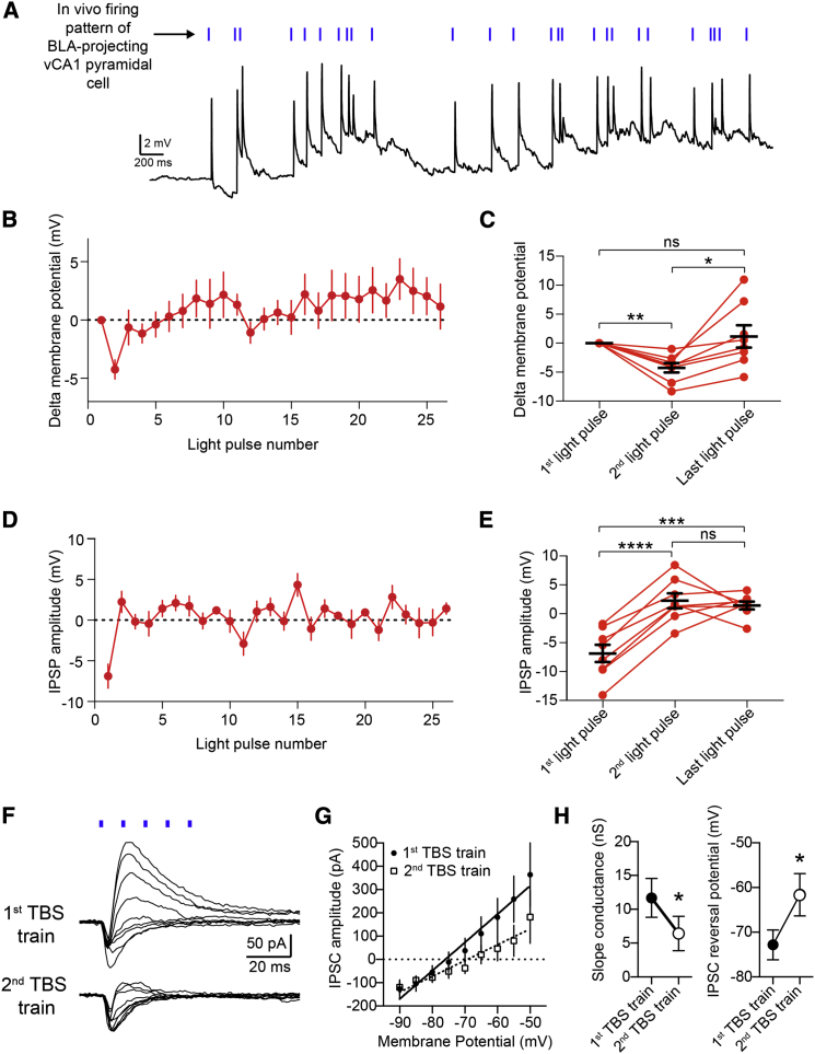 Figure 6