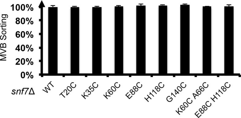 Figure 3—figure supplement 3.