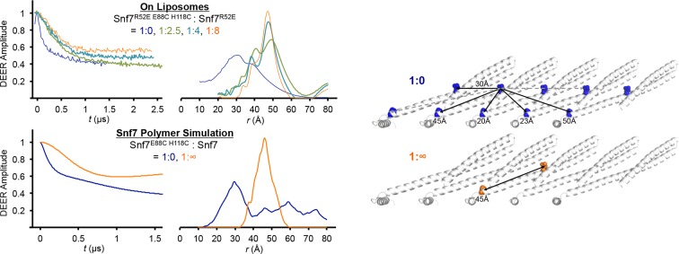 Figure 3—figure supplement 2.