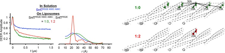 Figure 3—figure supplement 1.