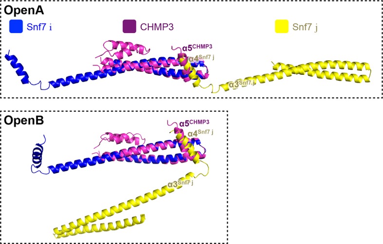 Figure 6—figure supplement 5.