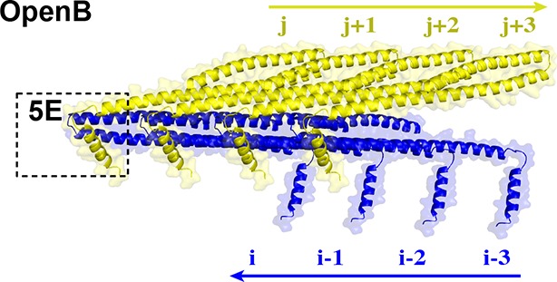 Figure 6—figure supplement 4.