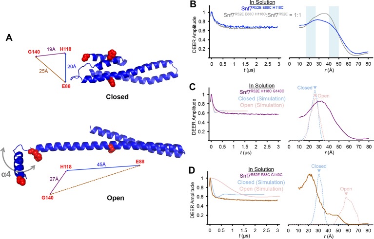 Figure 2—figure supplement 3.