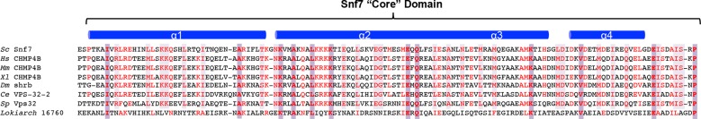 Figure 7—figure supplement 1.