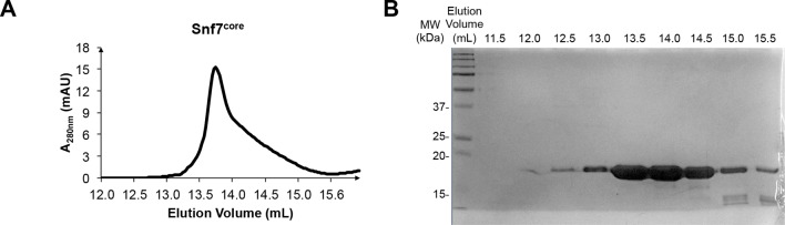 Figure 1—figure supplement 1.