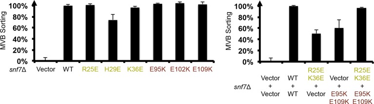 Figure 4—figure supplement 3.