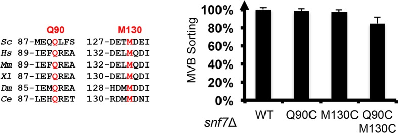 Figure 2—figure supplement 2.