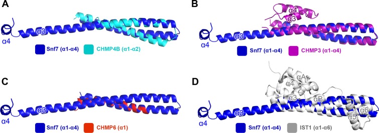 Figure 1—figure supplement 3.