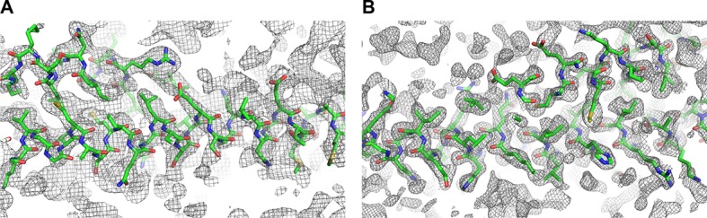 Figure 1—figure supplement 2.