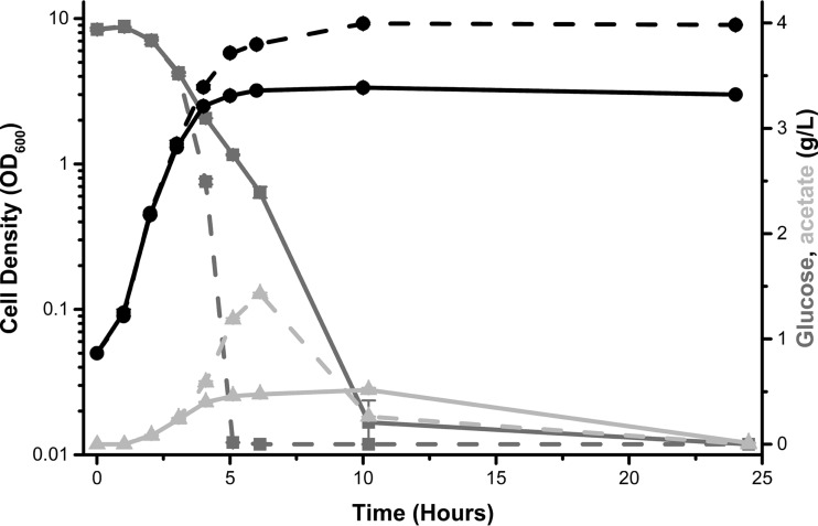 FIG 5