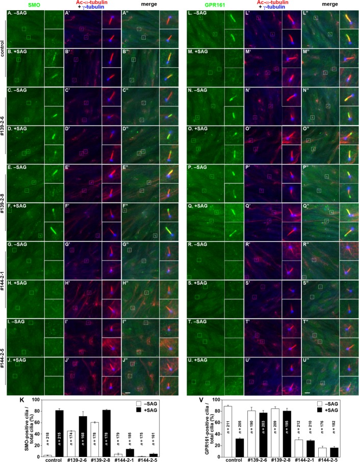 FIGURE 6: