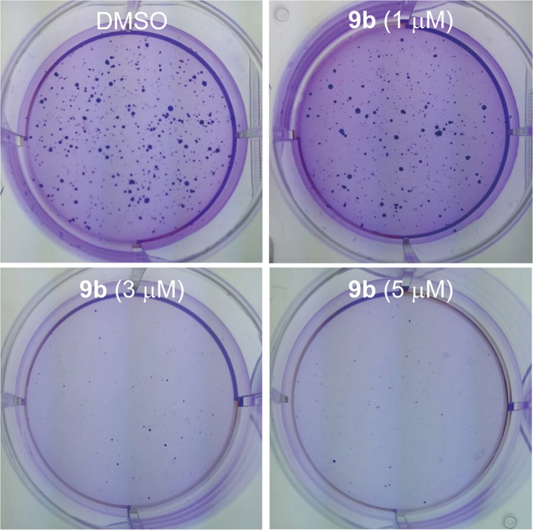 Figure 10