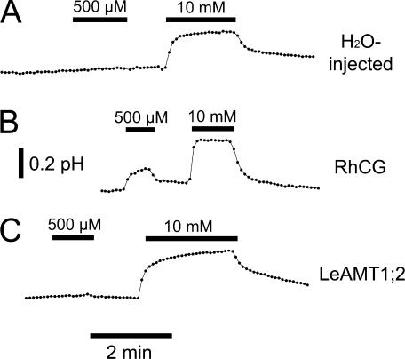 Figure 9.