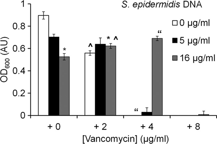 FIG 7