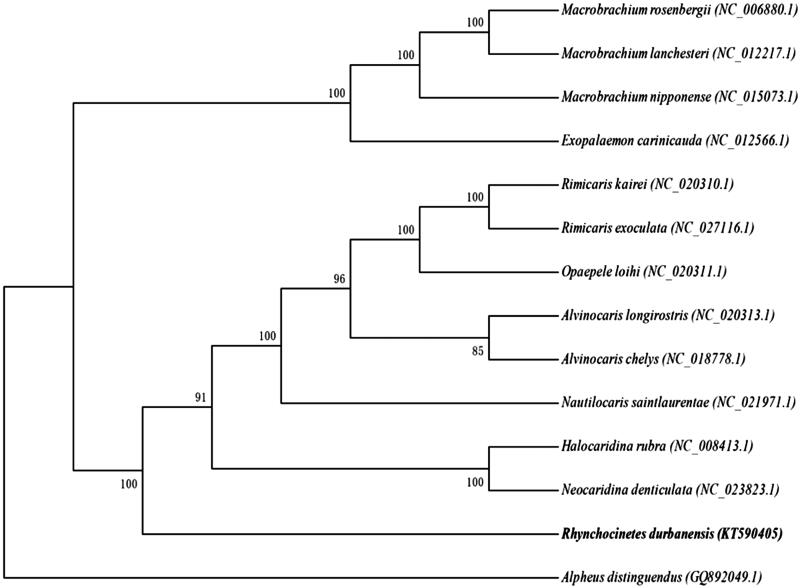 Figure 1.