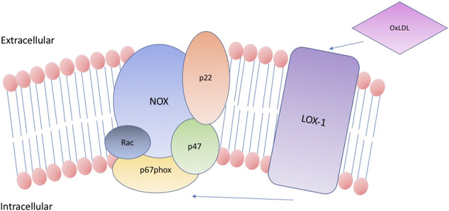 FIGURE 2