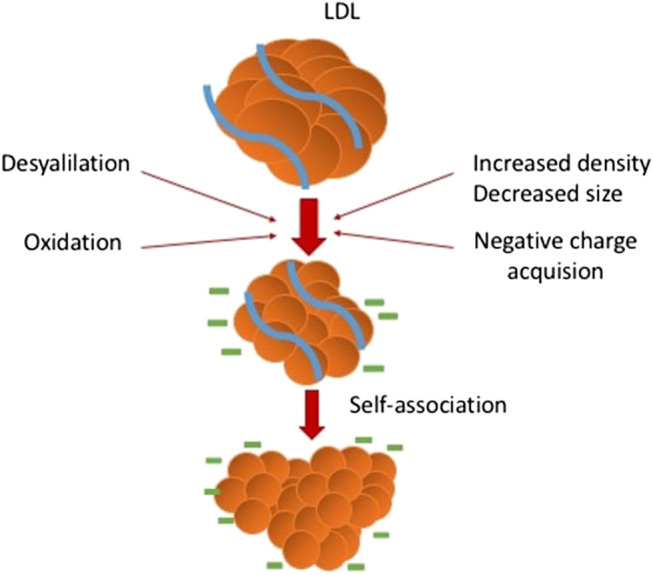 FIGURE 3