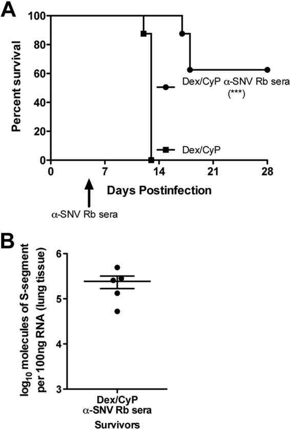 FIG 6