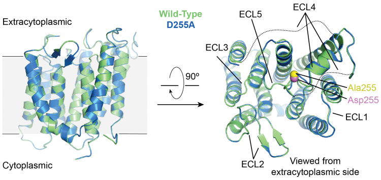 Extended Data Figure 2