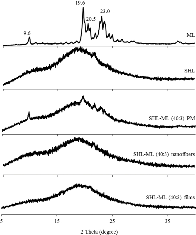 Fig. 1