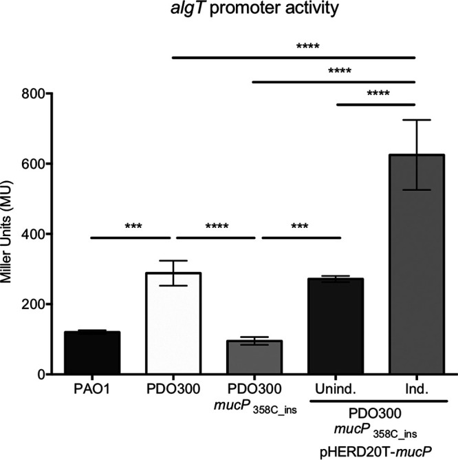 FIG 5