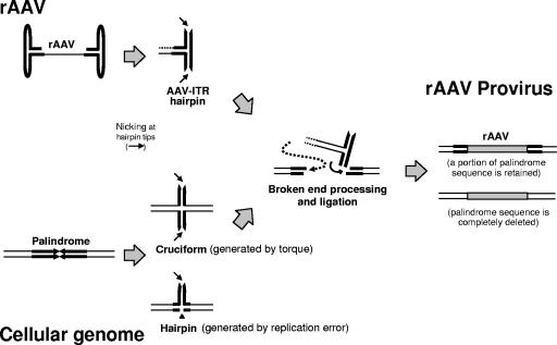 FIG. 9.