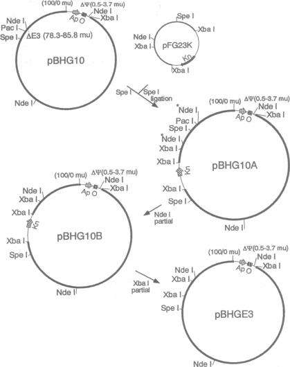 graphic file with name pnas01141-0085-a.jpg